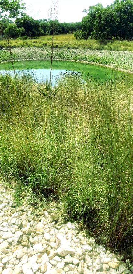 Rocky Hill Teich Hutte Pond Cottage المظهر الخارجي الصورة