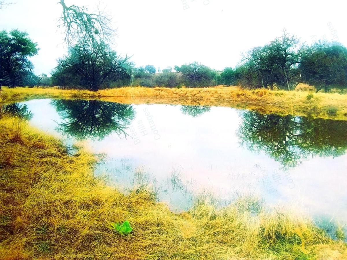 Rocky Hill Teich Hutte Pond Cottage المظهر الخارجي الصورة